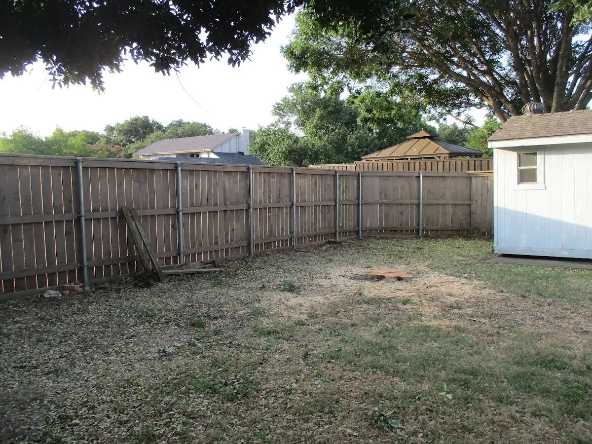 Cleared yard after professional tree removal in Dawson